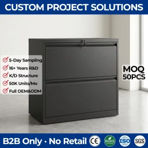 Commercial Grade 2 Drawer Wide Lateral Filing Cabinet Lockable Metal Storage Cabinet for A4 Letter Legal Files