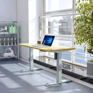Commercial Grade Uplift Standing Desk Stainless Steel Frame Wood Top Modern Design Height Adjustable Workstation Wall Mount