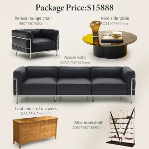 Contemporary Complete Living Room Furniture Package With Sofa Lounge Chair Side Table and Bookshelf for Home Hotel Use