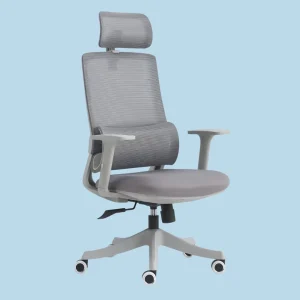 Contemporary Modern Recliner Ergonomic Mesh Revolving Adjustable Height Executive High Back Office Chair
