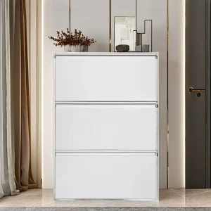 Contemporary Slim Steel Shoes Cabinet for Home Stylish Living Room Furniture with Storage for Apartments