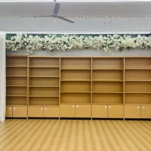 Contemporary Storage Cabinet Bookshelf for Living Rooms Home Offices Hotels Dance Studios
