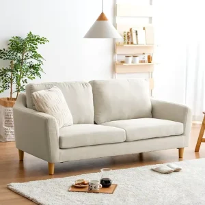 Contemporary Stylish 2 Seater Sofa Set for Apartment Living Room Hotel Fabric Two Seat