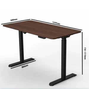 Cost Effective Height Adjustable Desk Steel Frame with Wooden Tabletop 4-Speed Height Memory Presets for Home Student Office