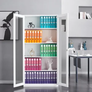 Custom 2 Glass Modern Metal Convertible Adjustable Movable Eco Friendly Commercial Filing Cabinet Durable Large School Workshop