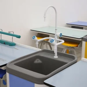 Custom Design Science Laboratory Work Station Work Table for School Furniture