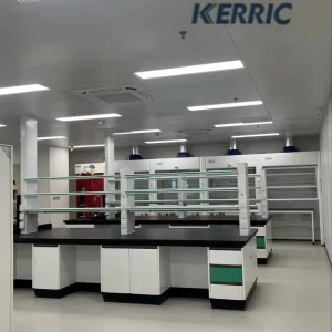 Custom Design Steel Wood Modern Laboratory Furniture with Sink for Schools Universities Hospitals Colleges