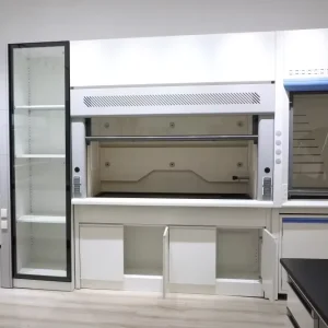 Custom Ducted Lab Chemical Laboratory Fume Hood with Base Cabinet