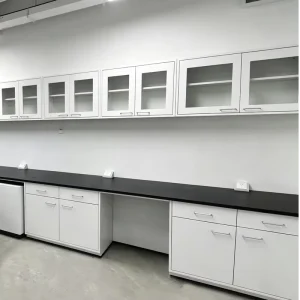 Custom Durable Laboratory Steel Table Anti-Corrosion Steel Laboratory Bench with Overhead Cabinet for Biology Laboratory