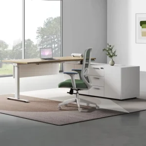 Custom Electric Standing Desk Adjustable Height Office Workstation with Side Cabinet Storage Privacy Panel for Manager Room