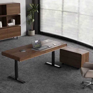 Custom Ergonomic Office Desk Modern Office Table Electric Standing Desk Customized Height Adjustable Work Stations