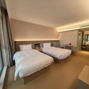 Custom Hotel Twin Bedroom Furniture Set Modern 5 Star Luxury Complete Interior Solution