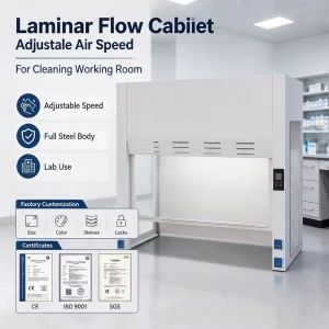 Custom Size Color Laminar Air Flow Cabinet Vertical Laminar Flow Bench Acid Resistant Lab Workstation for Microbiology Lab