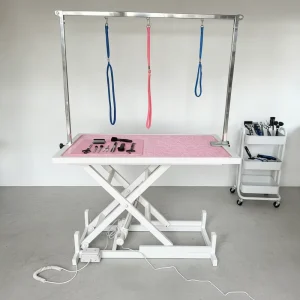 Customizable Electric Pet Beauty Table for Dog Cat Grooming Pneumatic Lifting System Stainless Steel Foldable Scissors for Hair