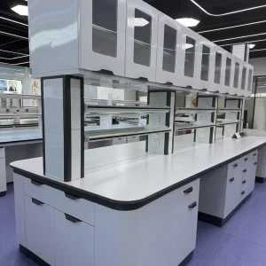 Customizable Laboratory Furniture Steel Laboratory Workbench Multi-function School Lab Table Hospital