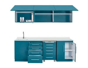 Customizable Medical Cabinet Storage Dental Clinic Cabinet Hospital Furniture