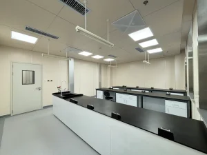 Customizable Steel Lab Workstation Durable Chemistry Bench for Medical Dental Laboratory