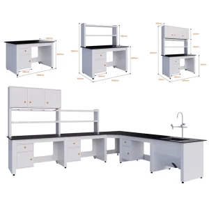 Customizable Steel Wood Laboratory Workbenches Physical Chemical Board Countertops for Chemical Biological Iron Hospitals