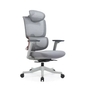 Customization Contemporary Adjustable Mesh Ergonomic Executive Office Chair for Home Use BIFFMA Certified