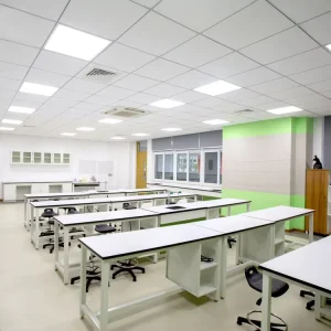 Customized Chemical Biology Lab Furniture Cabinet Lab Bench with Sink for Schools