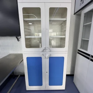 Customized High Quality Modern 2 drawer Storage Lockable PVC Commercial Filing Cabinet Office School Gym Laboratory Hospital
