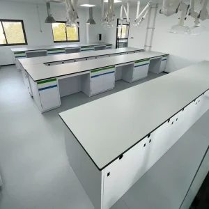 Customized Hospital Laboratory Furniture Dental Lab Work Station Lab Work Table