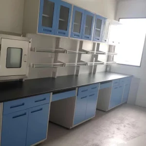 Customized Lab Bench with Sink Tap Acid Resistance Corrosion Resistant Biology Laboratory Furniture Wall Bench