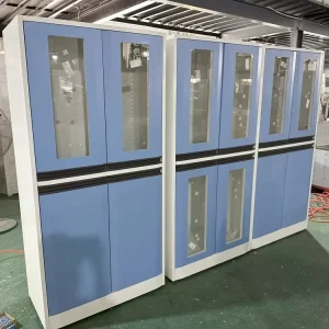 Customized Laboratory Furniture All Steel Chemical Reagent Lab Table Tall Storage Cabinet