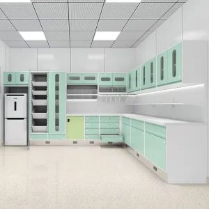 Customized Modern Stainless Steel Storage Cabinet for Hospitals Doctor’s Offices Patient Rooms Schools Hotels