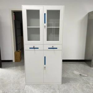 Customized Office Furniture Document Storage Cabinets Cupboard Metal File Glass Office Filing Cabinet