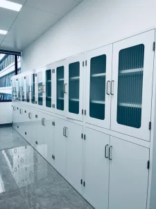 Customized Steel Laboratory Locker Sample Storage Cabinets Medical Chemical Storage Cabinets with Adjustable Shelf