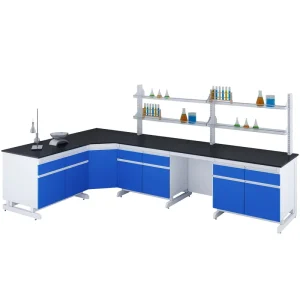 Customized Steel Laboratory Workbench Furniture for School Physics and Chemistry Experiments