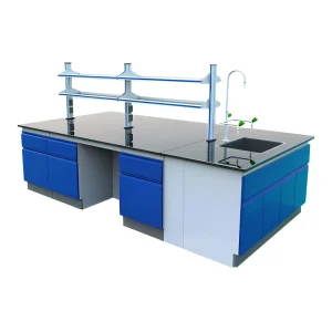 Customized Traditional Design Laboratory Furniture Schools Hospitals Research Institutes Stainless Steel Laboratory Benches