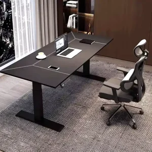 DNZ 13 Escritorios De Oficina Office Furniture Computer Table Lift Tables Shanding Desk Sit Stand Desk Height Adjustable Desk