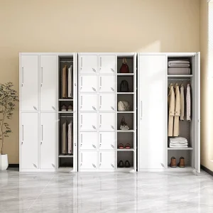 Detachable Convertible Modern Steel Wardrobe Locker 2 Door Large Capacity Narrow Edge Durable Cabinet Home Furniture Hospital