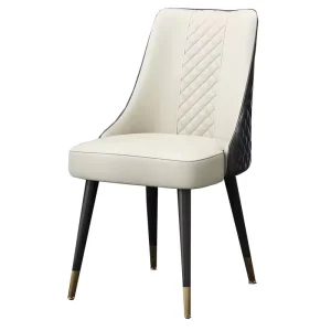 Dining Chair Light Luxury Armchairs for Small Modern Home Apartments for Hotels Simple New Dining Chair
