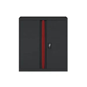 Double Door Small Modern Steel Filing Cabinet for Warehouse & Outdoor Hotels at Competitive Price