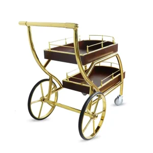 Double-Layer Stainless Steel Wine Trolley Hand Push Dessert Cart for Hotels Wooden Cake and Tea Trolley