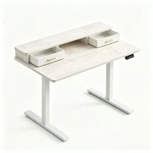 Dual Motor Electric Desk with Drawers Height Adjustable Standing Sit Stand Workstation Table for Home and Office