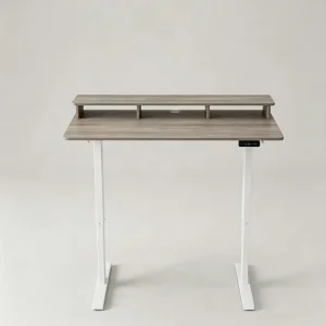 Dual Motor Electric Height Adjustable Standing Desk Sit Stand Workstation Computer Table for Home Office