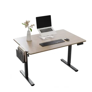 Dual Motor Electric Sit Stand Desk Height Adjustable Ergonomic Office Workstation Heavy Duty Steel Frame OEM ODM