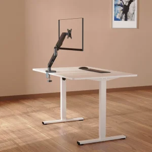 Dual Motor Electric Sit Stand Desk Height Adjustable Heavy Duty Office Workstation CE RoHS BIFMA OEM ODM
