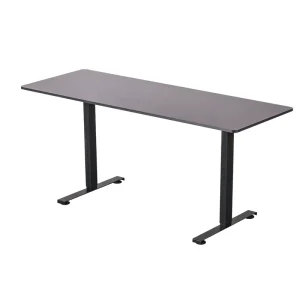 Dual Motor Electric Standing Desk 2 Stage Normal Column Height Adjustable Commercial Office Table Frame