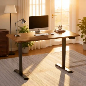 Dual Motor Ergonomic Adjustable Modern Computer Desk Durable Iron Design for Home and Office