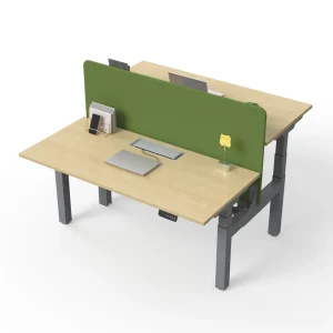 Dual Motor Height Adjustable Bench Desk 2 Person Back to Back Electric Standing Desk Workstation Acoustic Partition Modern