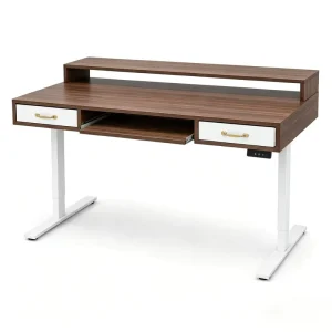 Dual Motor Height Adjustable Standing Desk with Drawers Electric Sit Stand Ergonomic Office Workstation for Home Office