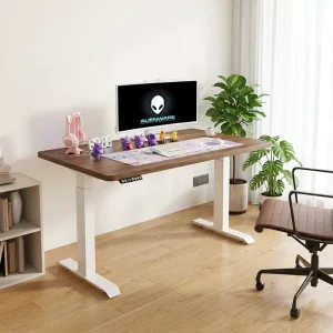 Dual Motors 1200mm Electric Standing Desk Height Adjustable Ergonomic Memory Control Desk