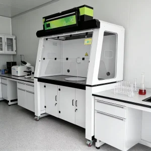 Ductless Steel Laboratory Fume Hood Air Filtration Cabinet for School Hospital Use Chemical Gas Dust Removal Smart Control