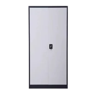 Durable 2 Door Steel Modern Fireproof Lockable Eco Friendly Space Saving Office Storage Cabinet