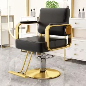 Durable High Grade Stainless Steel Portable Heavy Pump Barber Chair Salon Barbershop Adjustable Rotating Commercial Salon